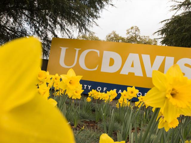 UC Davis Gateway